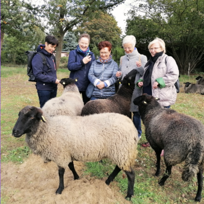 Bildschirmfoto 2026-02-18 um 11.15.21